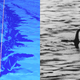Illustration for article titled Undiscovered Crevice at the Bottom of Loch Ness is Big Enough to Hide a Monster